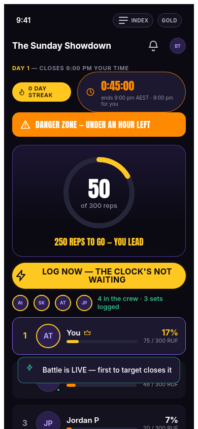 Danger zone level 2 banner